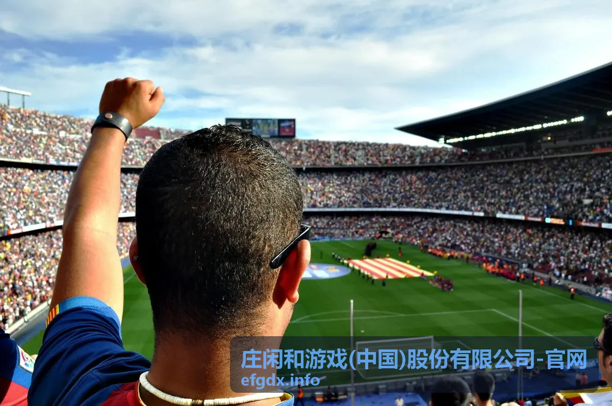 庄闲和游戏 休闲互动专区